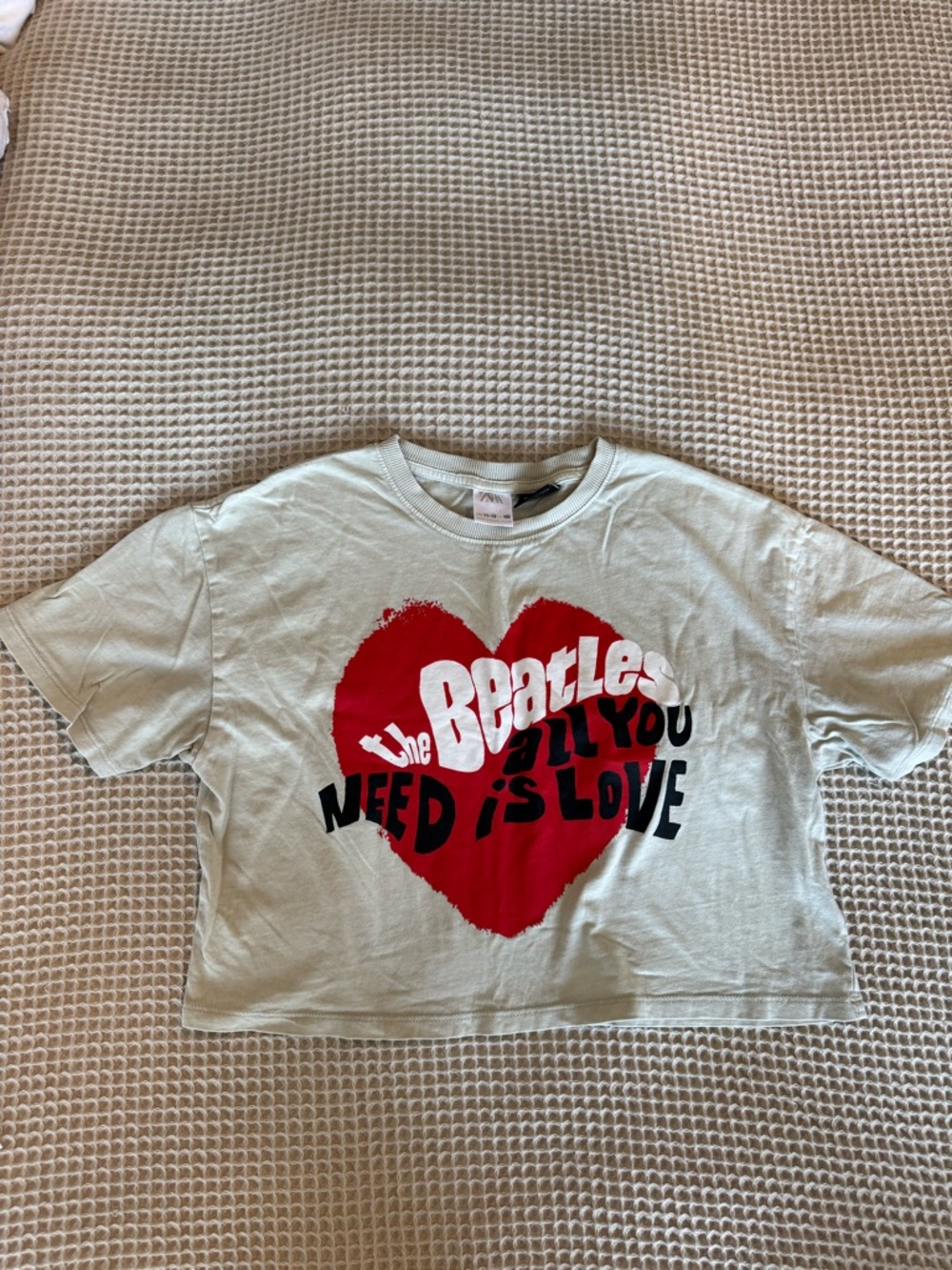 Zara Mint Green Kids Cropped Tee with Red Heart Beatles Graphic